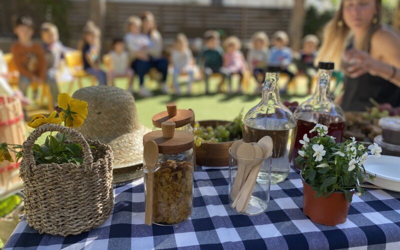 Τρυγοπάτι Οκτ. 25