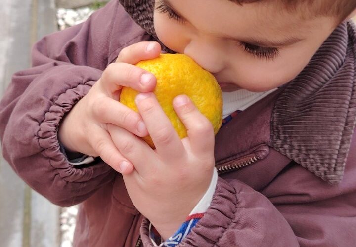 Το ταξίδι των αισθήσεων με ένα πορτοκάλι.